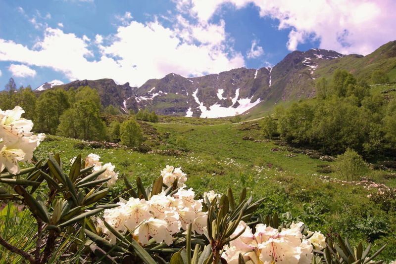 Корпоративные туры