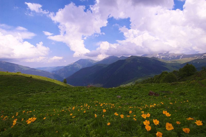 Корпоративные туры