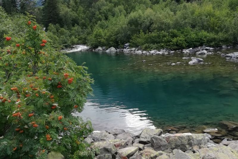 Корпоративные туры