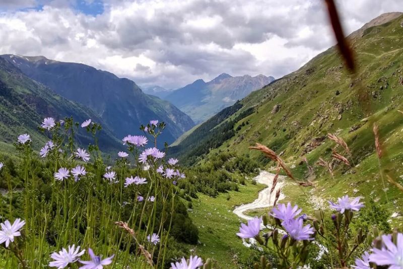 Корпоративные туры