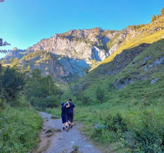 Сәбіз сексін қараңыз