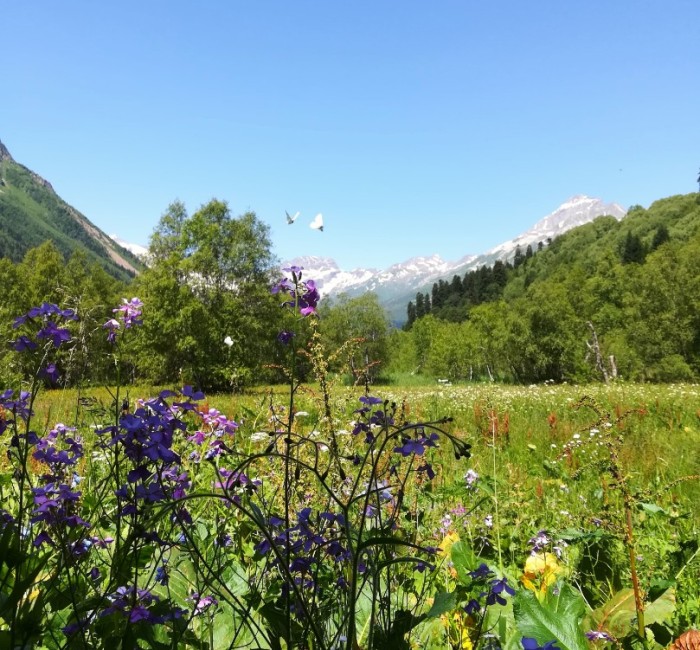 Акварельная лирика Русской поляны из Домбая