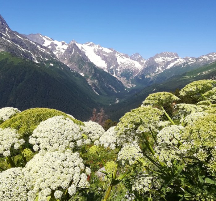 Домбайский Альбион -Туманлы-Кель из Домбая