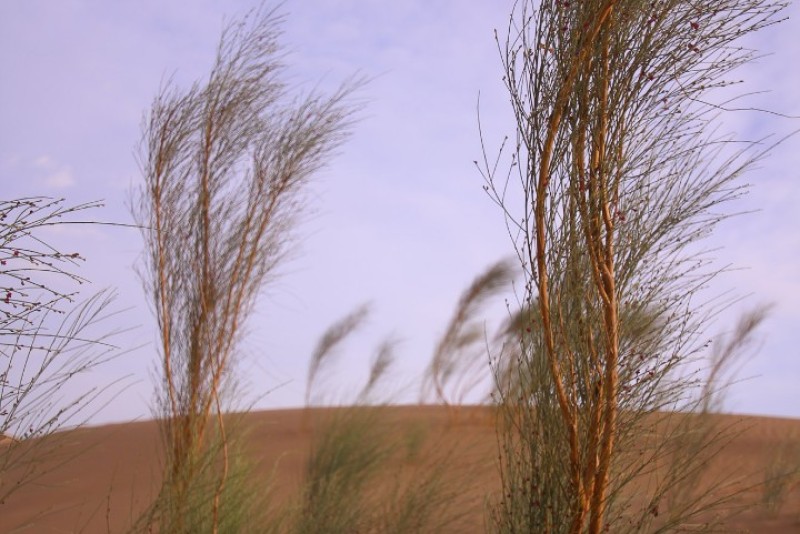 Влюбляясь в Дагестан