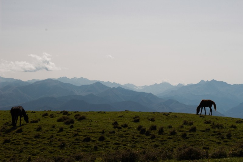 Влюбляясь в Дагестан