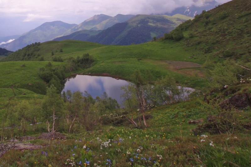 Корпоративные туры