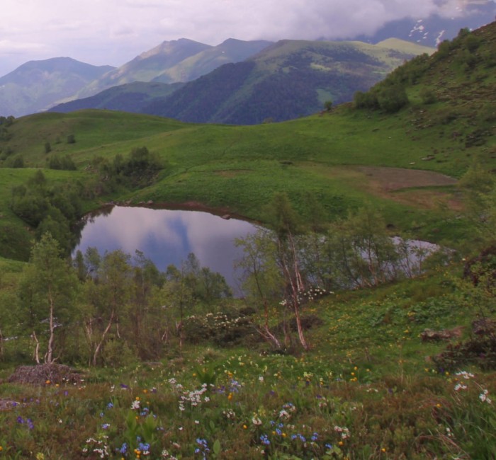 Корпоративные туры