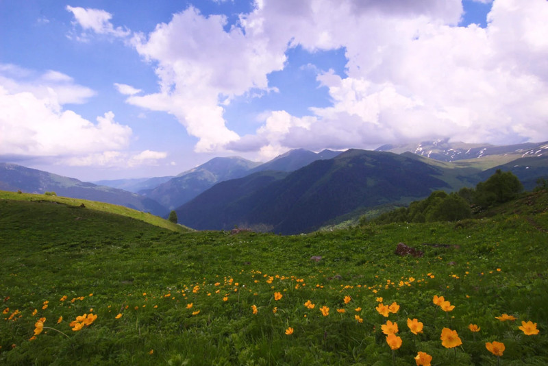 Теплота и Магия Кавказских гор. Архыз – начало